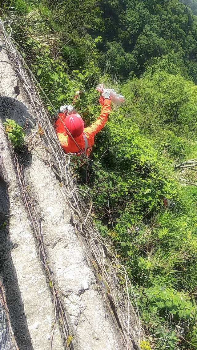 景區(qū)保潔